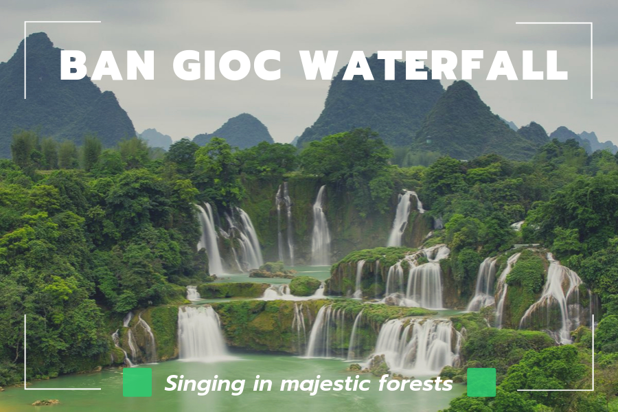 Ban Gioc Waterfall Day Tour The Magnificent Singing Gadt Travel