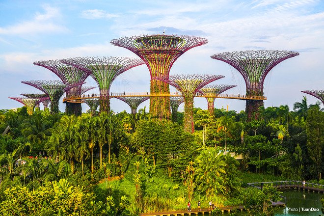 Places you can not miss in Singapore - Gadt Travel