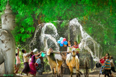 Festival in the New Year of Myanmar