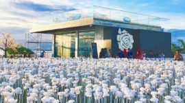 10,000 artifical roses with light will sparkle at night