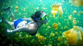 diving in southeast asia