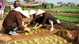 Dressing traditional clothes and learning how to plant is the great experience for tourists