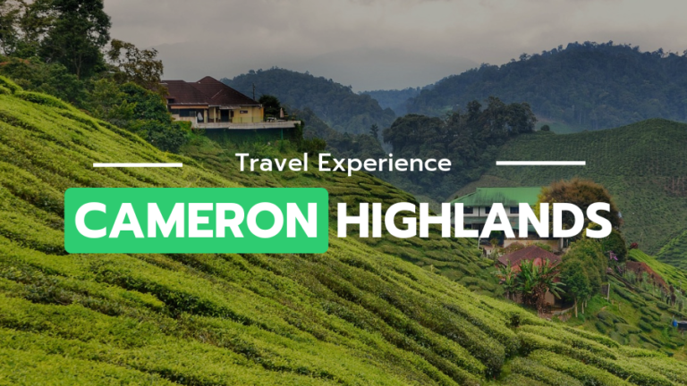 Travel experience cameron highlands
