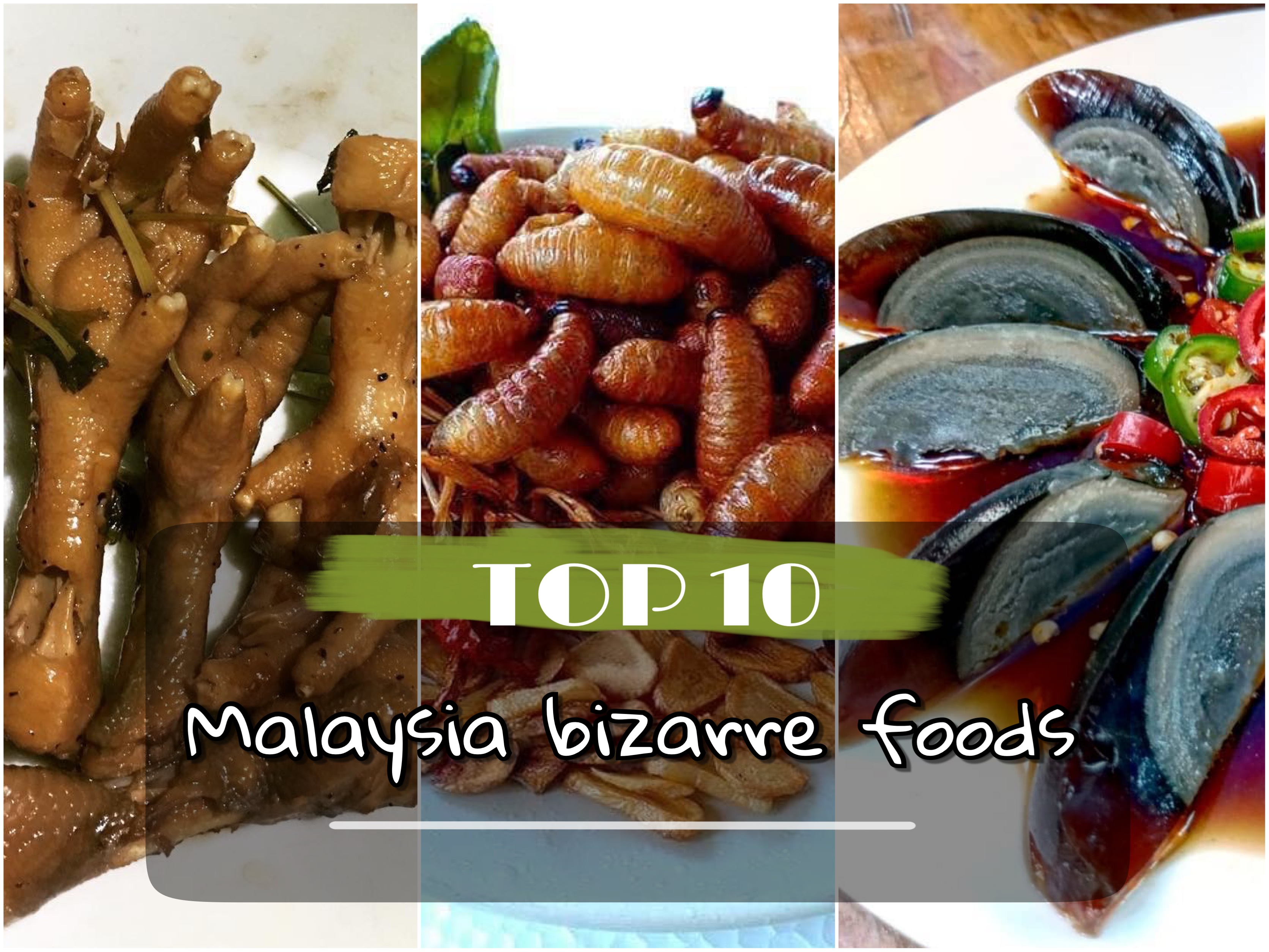Malaysia Bizarre foods