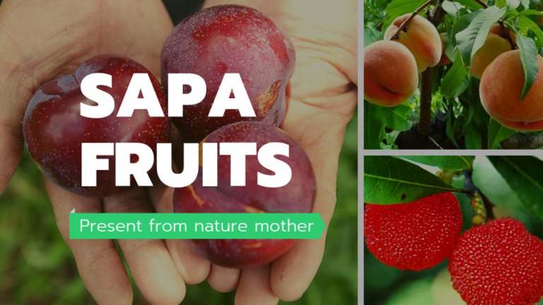 sapa fruits present from nature mother