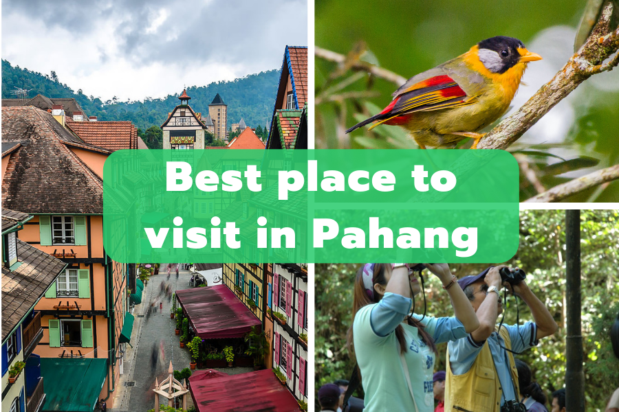 best place to visit in pahang