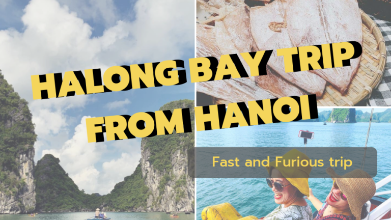 Halong Bay trip from Hanoi