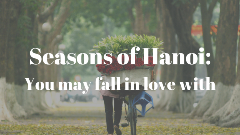 Seasons of Hanoi_ You may fall in love with