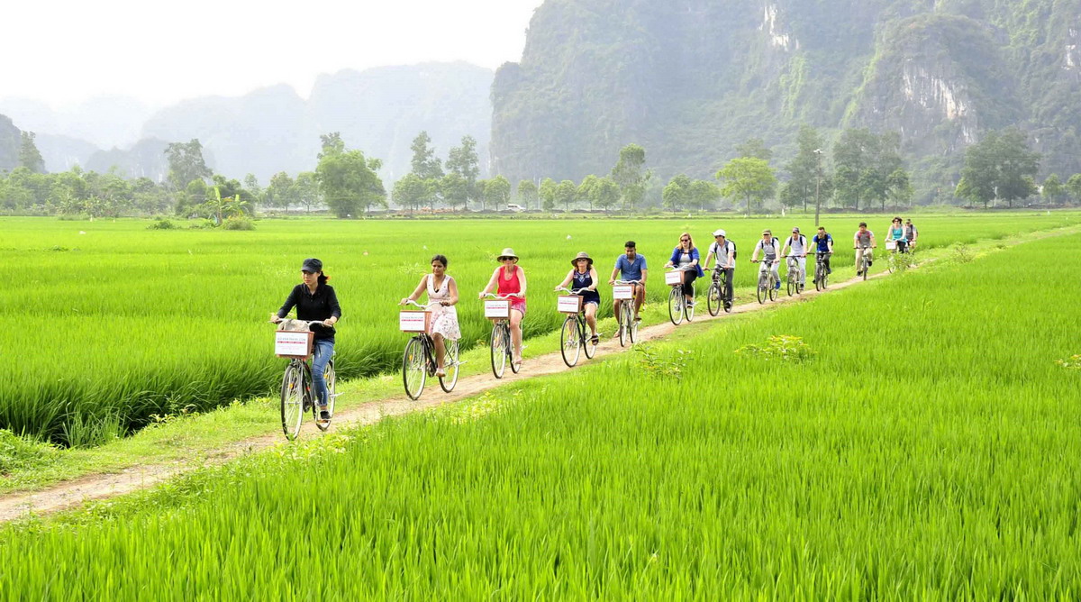 ninh binh biking tour