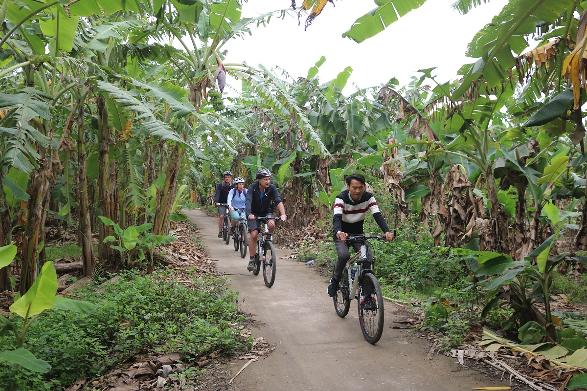 Cycling along Red river and Duong river dike
