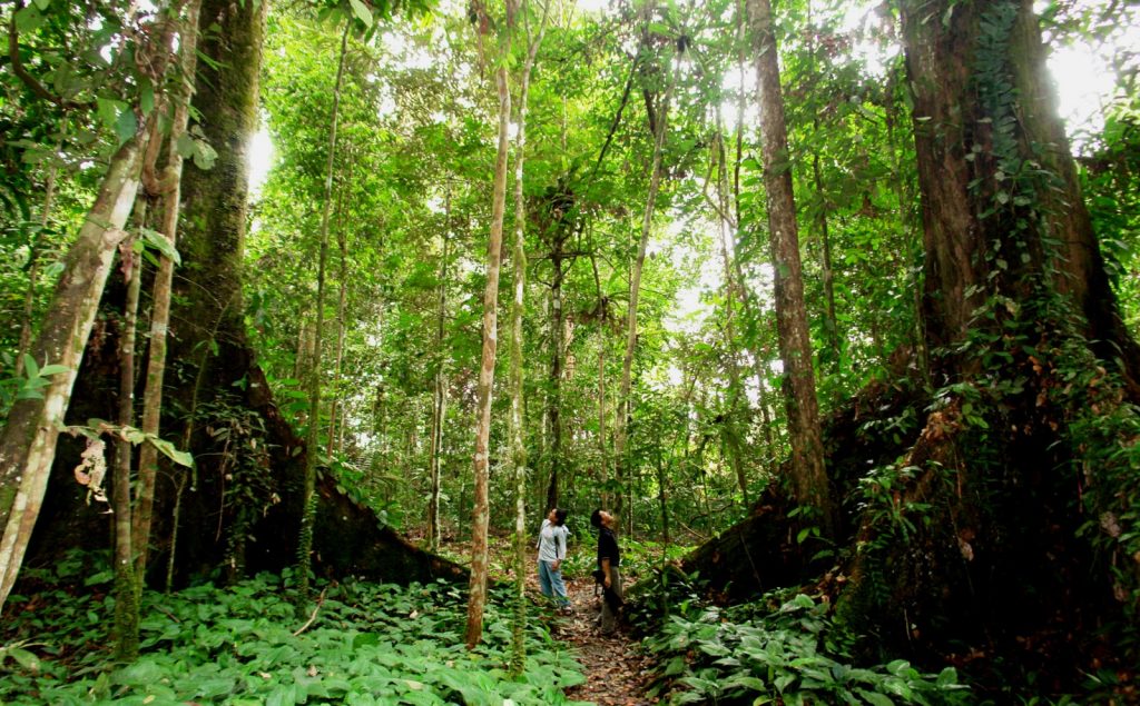 Nam Cat Tien National Park is suitable for nature lovers and adventure travelers